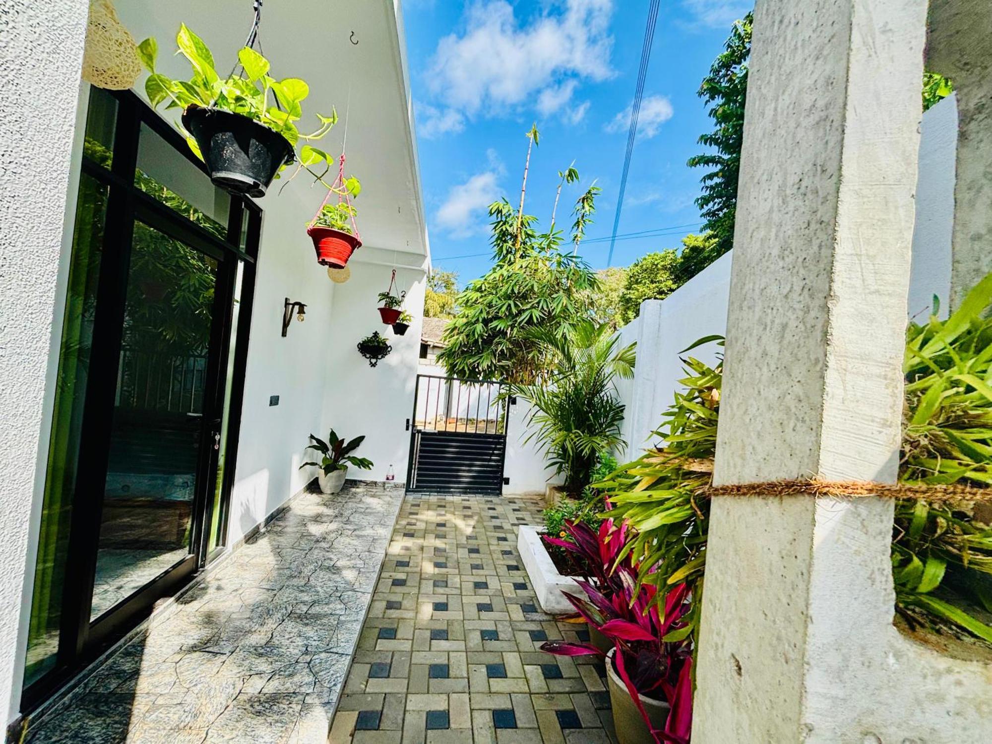 Bird House Villas タンガラ エクステリア 写真